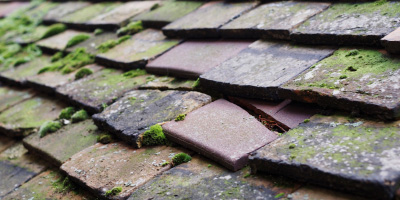 Winchbottom roof repair costs